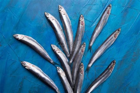 一组凤尾鱼漂浮在蓝色背景垂直相片上捕获于爱奥尼亚海的鱼意大利高清图片下载-正版图片505834591-摄图网