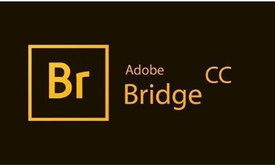 bridge是什么软件-设栈网