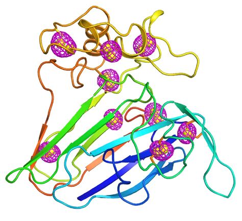 3d动画演示，蛋白质的四级结构