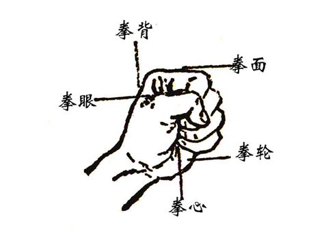 符咒法术 - 九鼎易学 - 第2页
