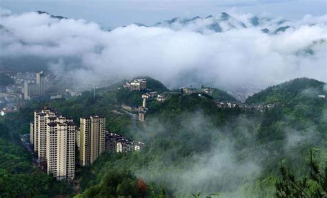从磐安出发，绿色中国行走进森林城市-磐安新闻网