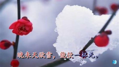 《问刘十九》白居易 视频朗诵“晚来天欲雪 能饮一杯无”_腾讯视频