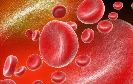 溶血性贫血网织红细胞为什么增多_杏林普康
