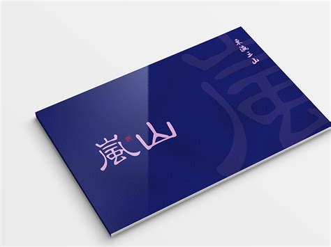 岚山城市形象|平面|Logo|十六视觉创意设计 - 原创作品 - 站酷 (ZCOOL)