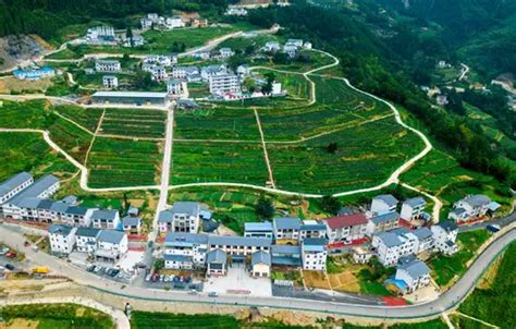 巫溪县政务服务中心打造新时代“红岩先锋”变革型组织-新重庆客户端
