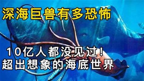 电影《大章鱼》定档9月4号，深海巨兽，狂暴来袭！_手机新浪网