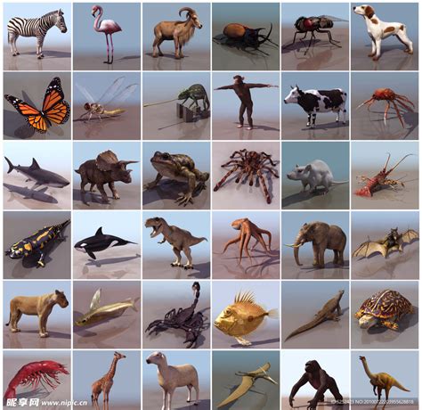 38种精美动物三维模型设计图__其他模型_3D设计_设计图库_昵图网nipic.com