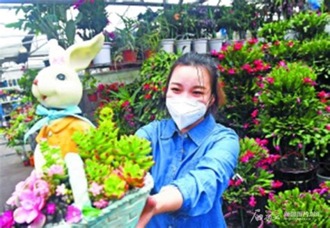 中国五大花卉批发市场排名(全国最大花卉市场排行) - 新乡市优特蔬菜研究院