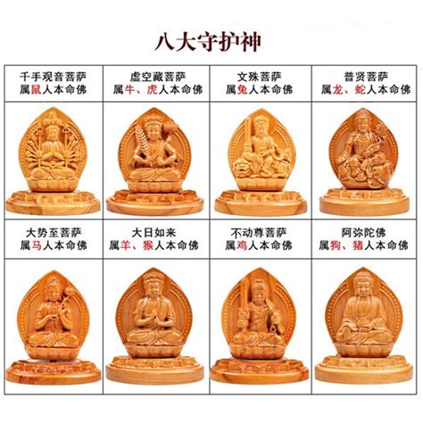八大守护神图片