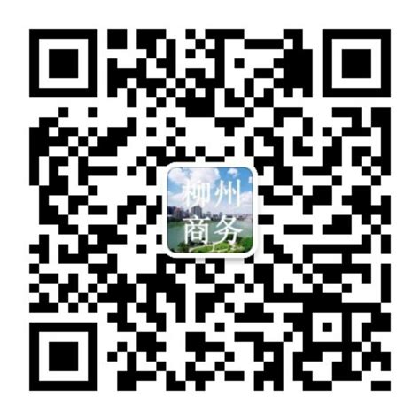 柳州市商务局2020年度部门决算公开 - 财政信息 - 广西柳州商务局网站
