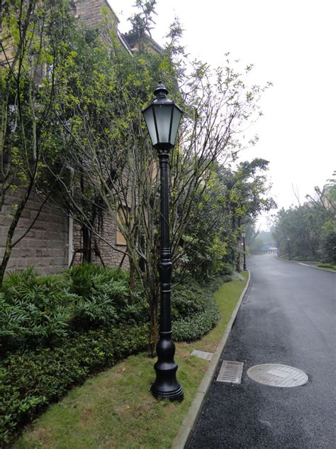六安单灯头等径杆庭院灯-珠海市华雷科技有限公司