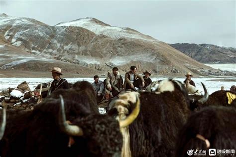 导演松太加：《阿拉姜色》不是对藏区的猎奇_文体人物_新民网