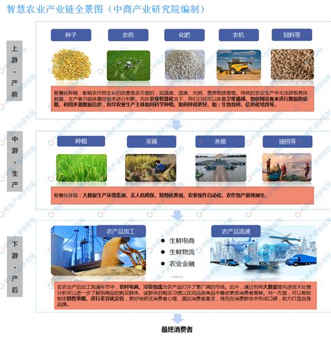 2020年全国粮食增产113亿斤再创历史新高_智慧农业-农博士农先锋网