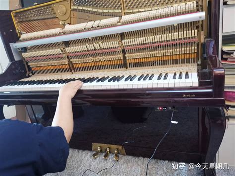 重庆施坦威钢琴-玛雅极光(价格,专卖店)-重庆智商音体用品有限公司