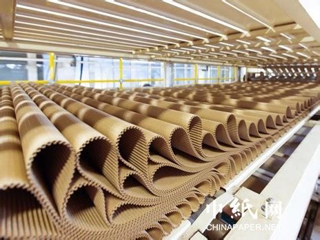全球最大浆纸生产基地！玖龙纸业北海基地今天批前公告