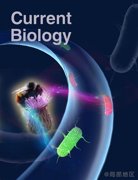 《Current Biology》杂志封面|平面|书装/画册|局部地区 - 原创作品 - 站酷 (ZCOOL)