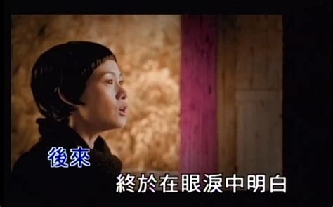 刘若英后来的歌词意思（你知道刘若英的《后来》这首经典歌曲的真正含义意思么？） | 说明书网