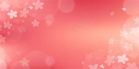 桔红色的菊花高清图片下载_红动中国
