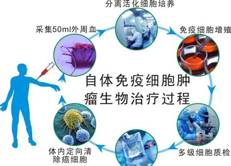 间充质干细胞在自身免疫系统性疾病的研究进展（一） - 知乎