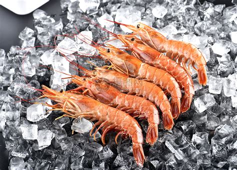 海虾的做法家常做法分享，味美肉嫩，新手也可以轻松学会 | 说明书网