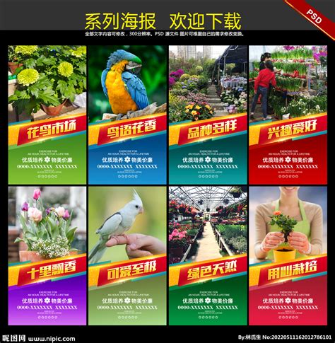 繁华的深处是烟火，上海好逛的花鸟市场有哪些？_澎湃号·湃客_澎湃新闻-The Paper