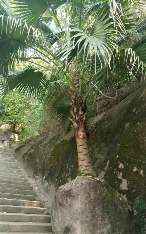 湖南省衡阳市旅游景点集锦|石鼓书院|雨母山|回雁峰_新浪新闻