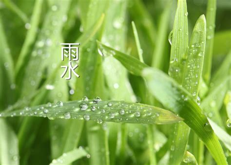 春雨贵如油----中国科学院紫金山天文台青岛观象台