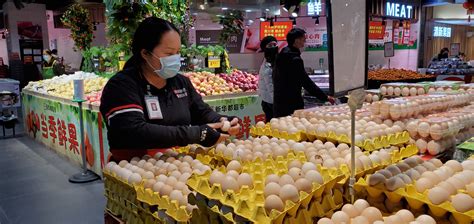 普安县附近有卖观赏鸡种蛋的吗_绿壳鸡蛋的批发价格_山东明鑫特种养殖基地
