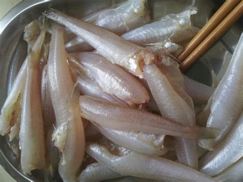 沙丁鱼的家常做法大全_沙丁鱼怎么做好吃_菜谱大全_下厨房