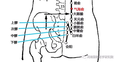 腰部位置图图片