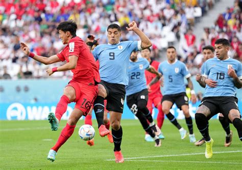上届世界杯两队首轮战绩：乌拉圭1-0埃及，韩国0-1瑞典-直播吧