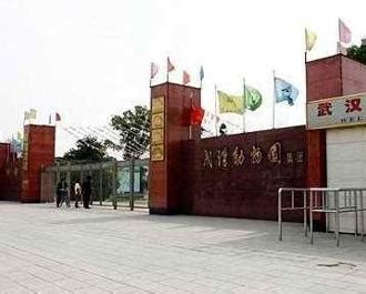 武汉动物园园标征集获奖名单的公示-设计揭晓-设计大赛网