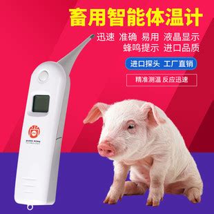 猪用体温计 兽用电子温度计猪牛羊电子测温仪 动物肛门体温表-阿里巴巴