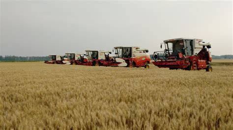 农机企业别总盯着大型产品，中小农机依然是市场主力！ | 农机新闻网