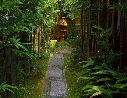 竹 · 造园-绿宝园林网