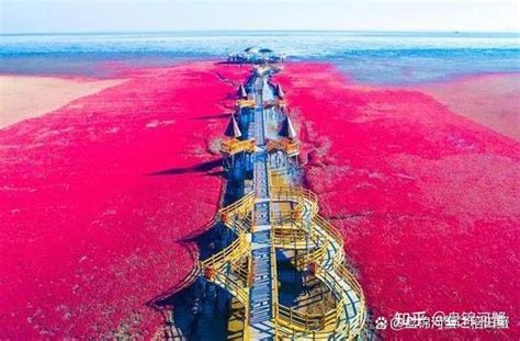 盘锦红海滩国家风景廊道-盘锦天辰旅游