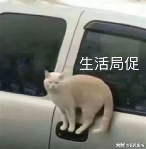 下雨表情包图片