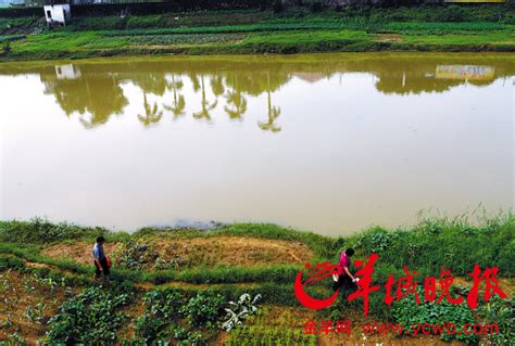 探访惠州园洲“红河”水污染:每年4-7月都不太平 - 媒体报道 - 派斯净水官网