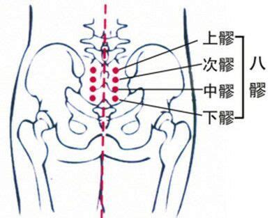屁股穴位图图片