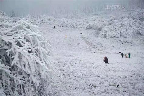 重庆武隆，6年后的再遇见，在下雪的冬天-仙女山镇游记