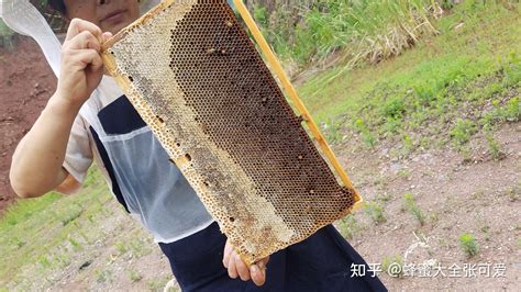 老蜂农教你一杯清水鉴别真假蜂蜜（市面上最常见的五种蜂蜜造假方式揭秘）