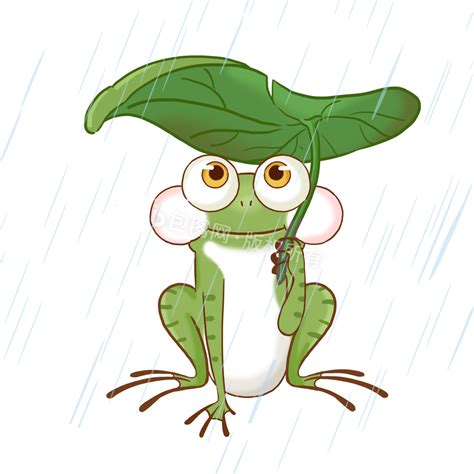池塘荷叶青蛙卡通,_大山谷图库