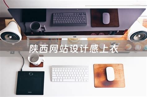 陕西网站设计感上衣（陕西网站设计公司） - 韬略建站