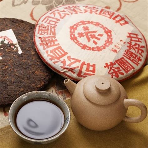 普洱茶生茶和熟茶哪个好,哪个价值高 – 茶中有茗