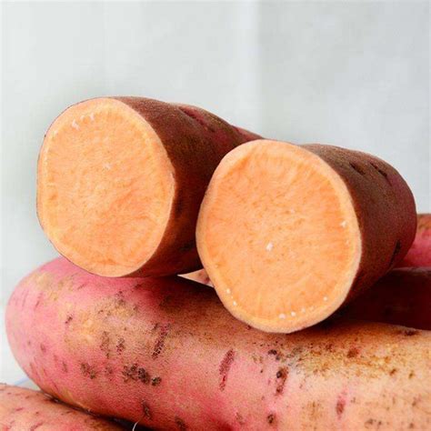 山芋红薯地瓜的区别_山芋、红薯和地瓜有什么不同-生活百科-聚餐网