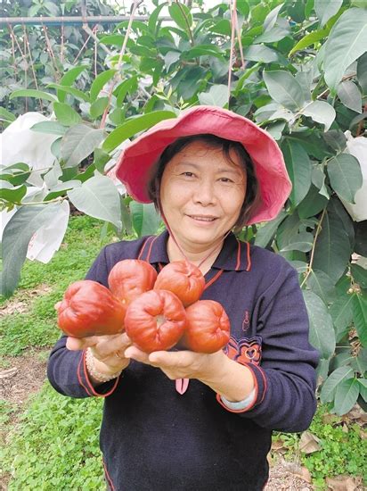 赤水镇践行“两山”理念，整治人居环境、发展现代农业 要“绿起来”更要“富起来”_开平资讯_江门市人民政府门户网站