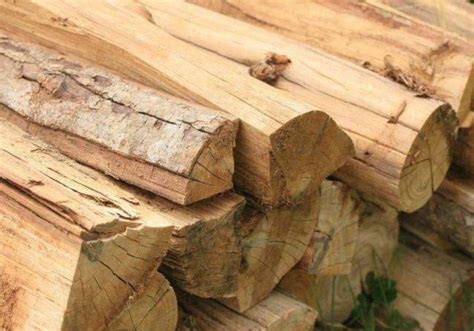 规划总监谈未来整木定制行业的趋势！_板材网