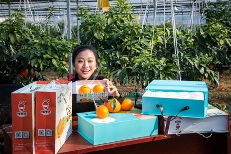 浙江湖州：红美人柑橘助力村民增收致富-人民图片网