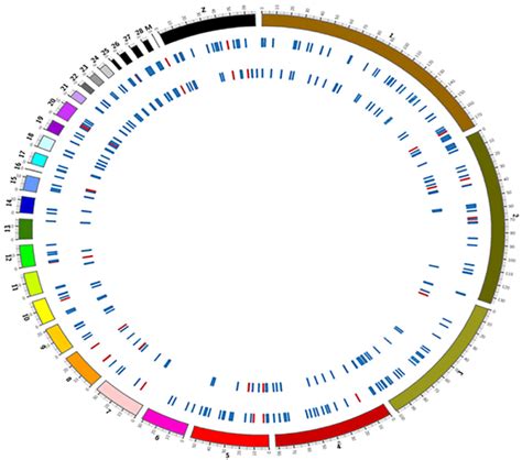 科学网—转录调控：转录因子结合DNA的序列特异性特征总结 - 熊朝亮的博文