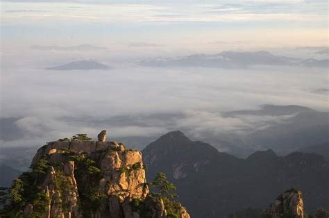 黄山奇石猴子观海图片